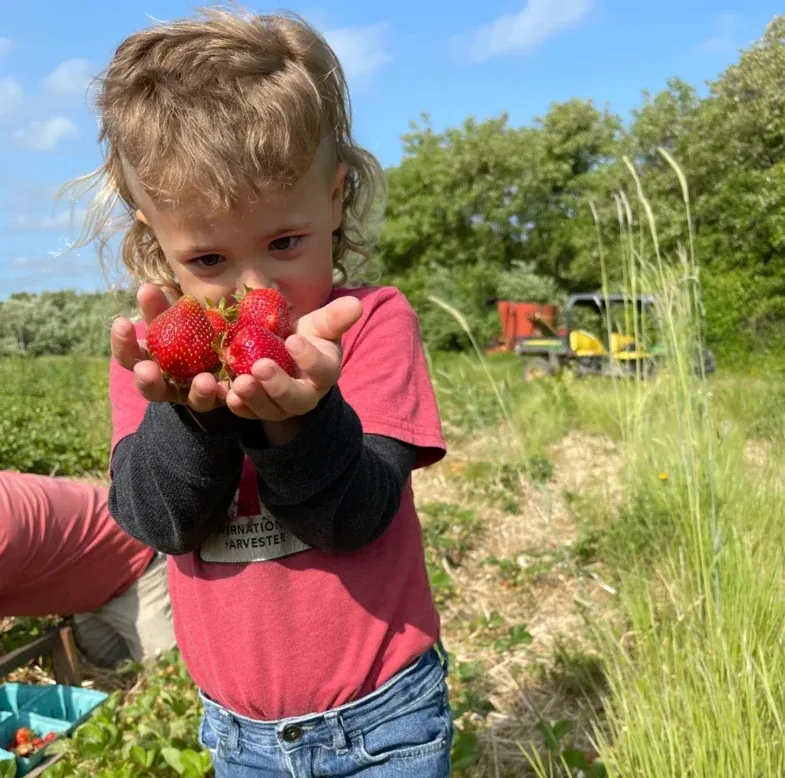 Family fun at Fink's Country Farm