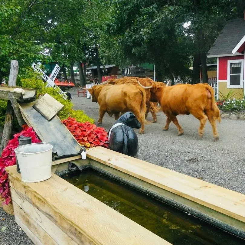 Everyone is excited for our Fall Harvest Fest to begin new at Fink's Country Farm