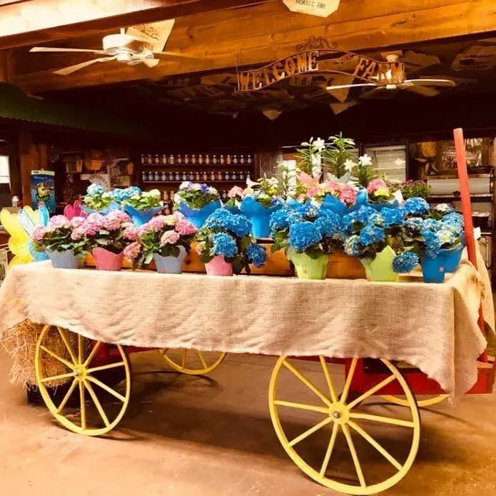 Fink's Country Farm Stand