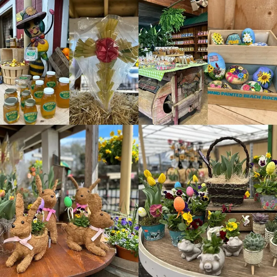Fink's Country Farm stand