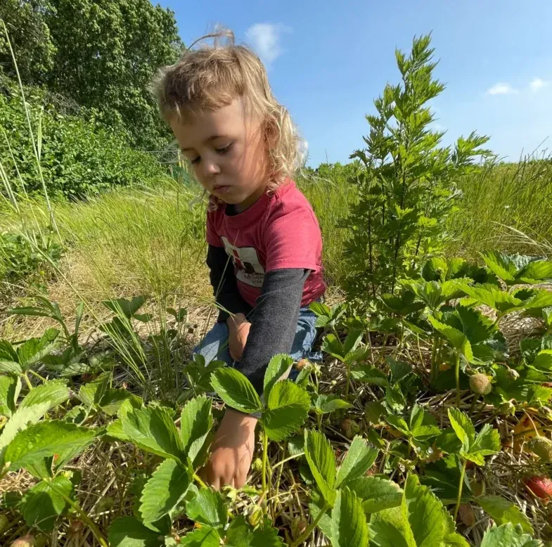 Family fun at Fink's Country Farm