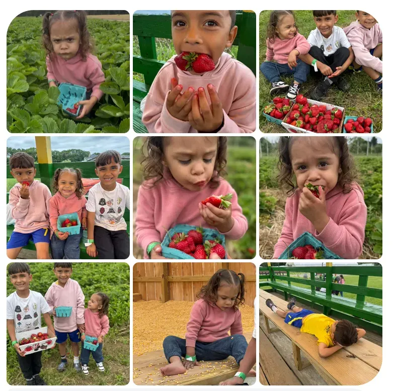 Family fun at Fink's Country Farm