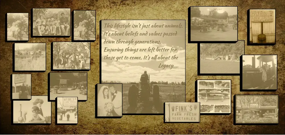 The Fink family history board