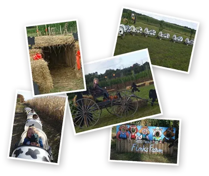 Farm fun at Fink's Country Farm
