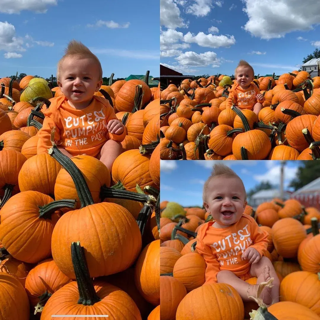 Pumpkin in the patch new at Fink's Country Farm