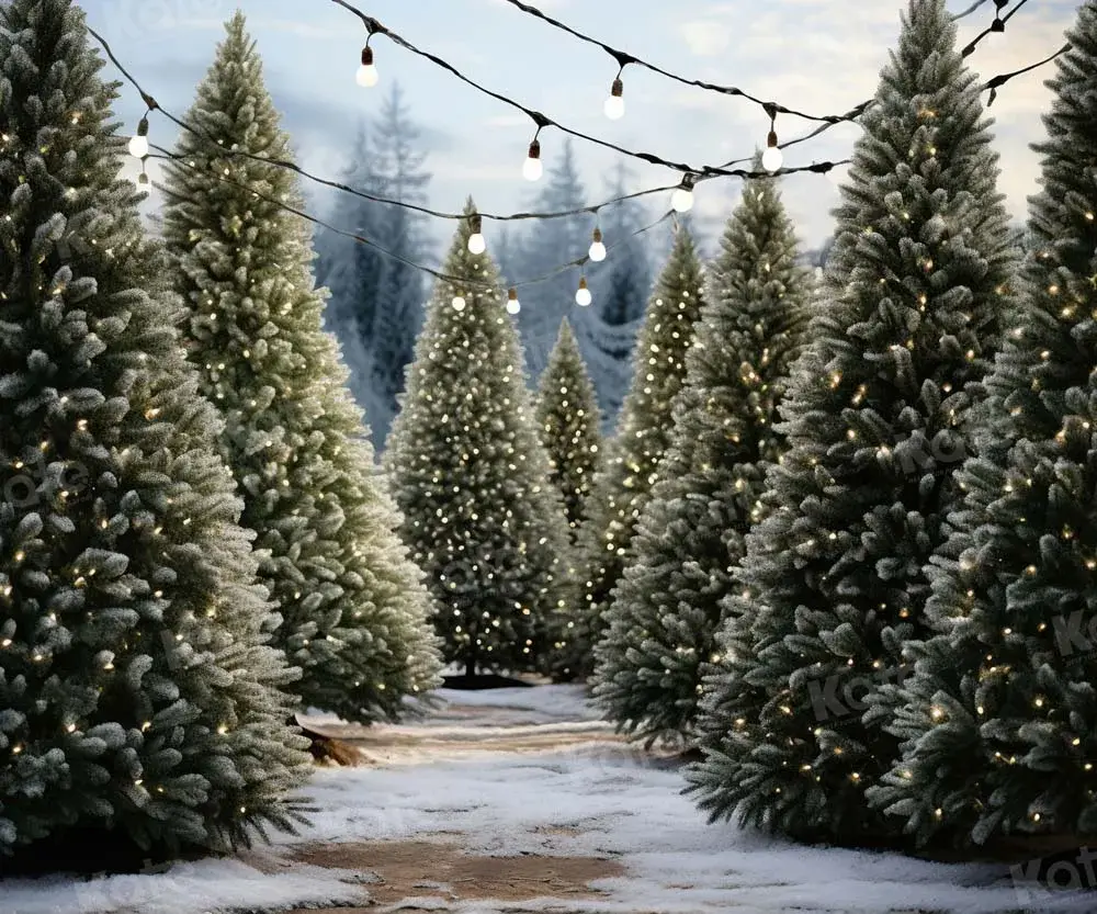 Winter Wonderland
